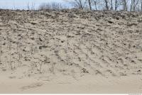 ground sand 0020